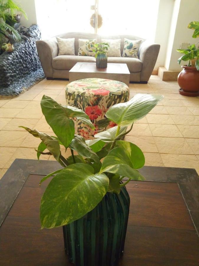 Illiyin Boutique Hotel Dakar Dış mekan fotoğraf